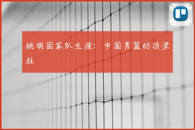 姚明国家队生涯：中国男篮的顶梁柱
