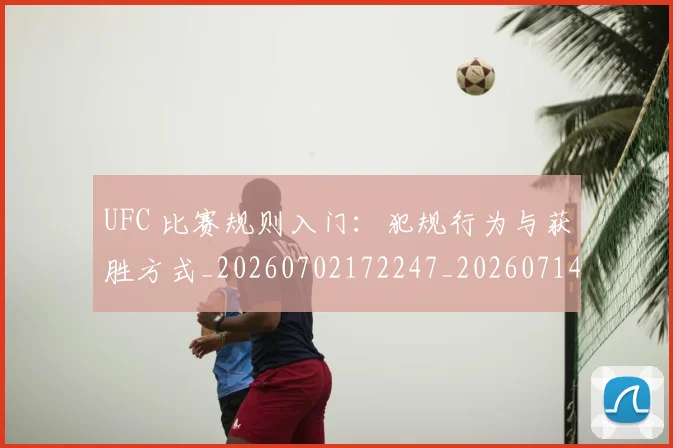 UFC 比赛规则入门:犯规行为与获胜方式_20260702172247_20260714215740
