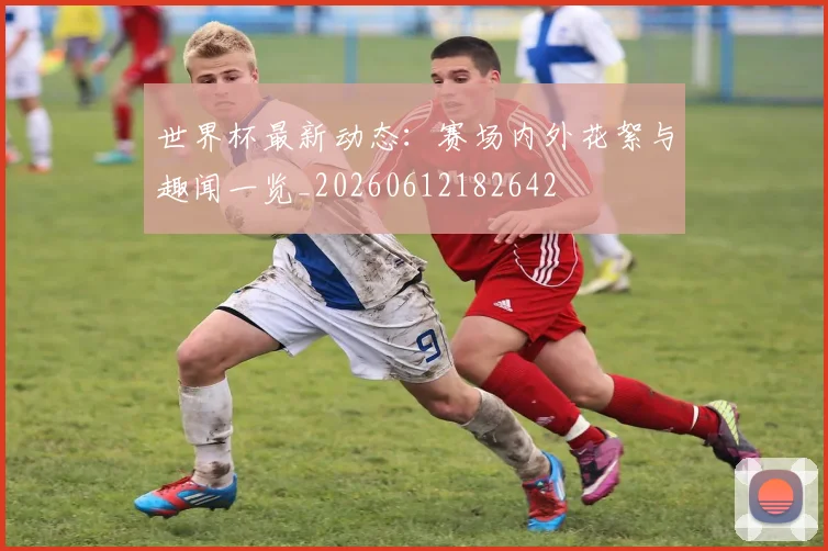 世界杯最新动态:赛场内外花絮与趣闻一览_20260612182642