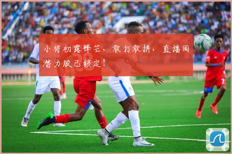 小将初露锋芒，敢打敢拼，直播间潜力股已锁定！