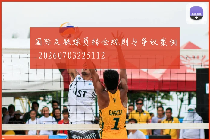 国际足联球员转会规则与争议案例_20260703225112