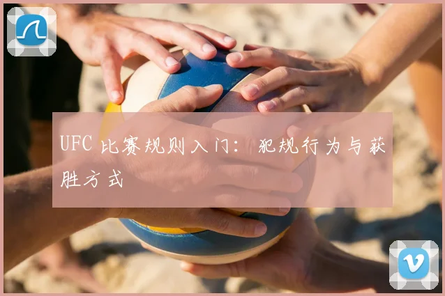 UFC 比赛规则入门:犯规行为与获胜方式