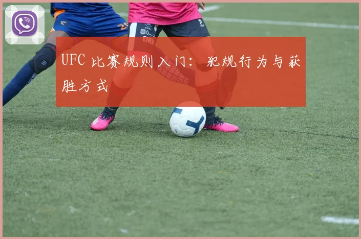 UFC 比赛规则入门：犯规行为与获胜方式