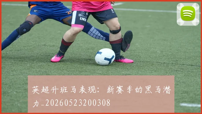 英超升班马表现：新赛季的黑马潜力_20260523200308